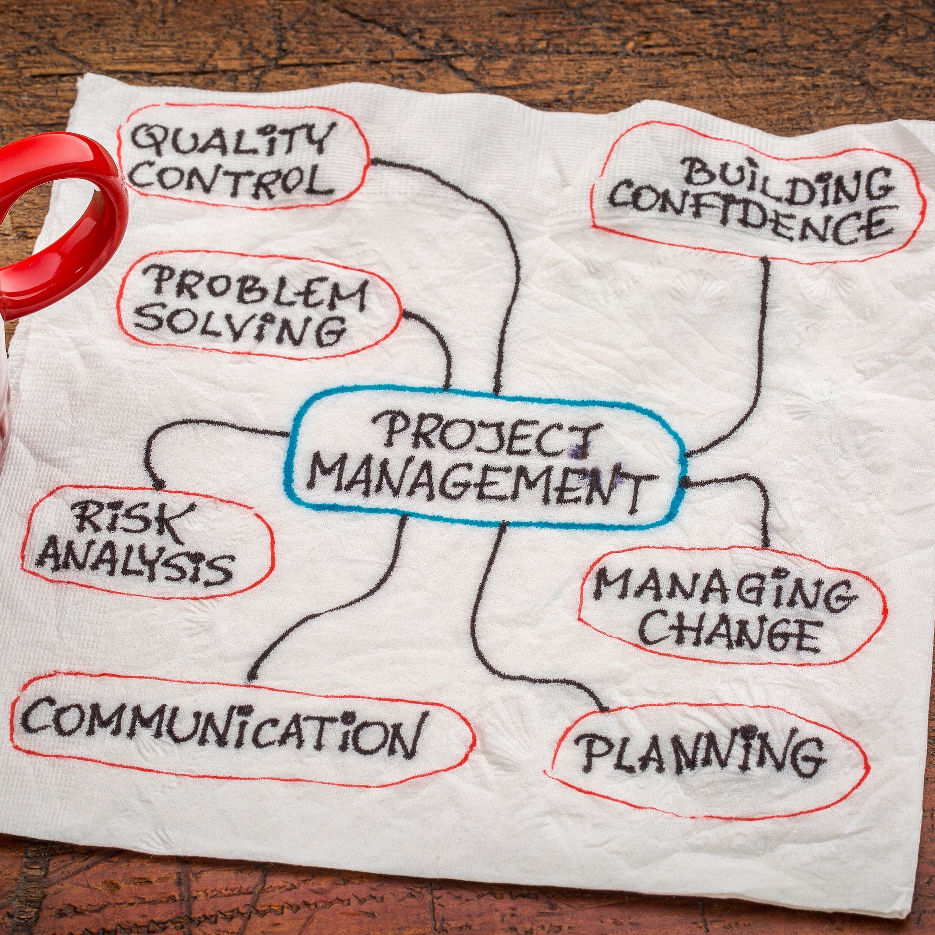 project management flow chart or mindmap – a sketch on a napkin_1-1